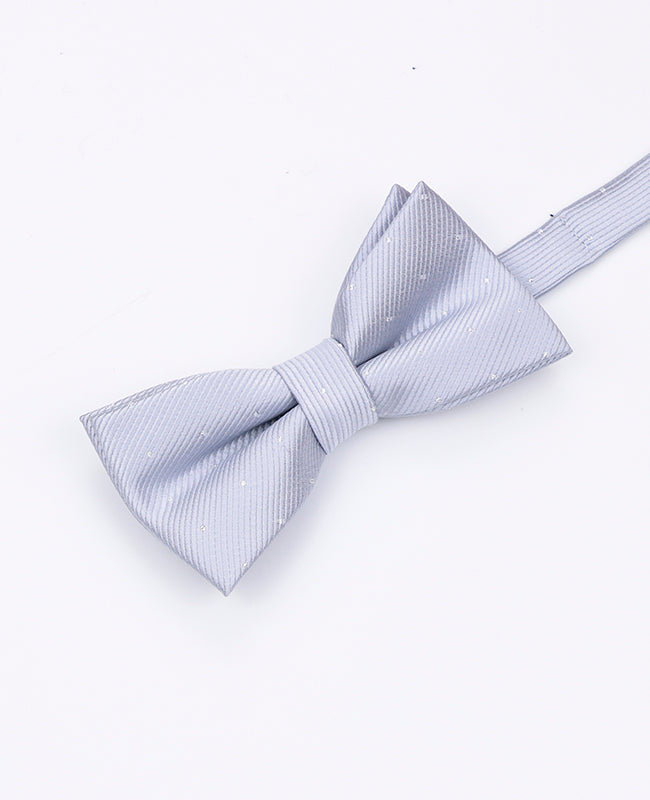 Fliege Grau Nr. 2 Kinder aus Polyester | Georges - Unipap's