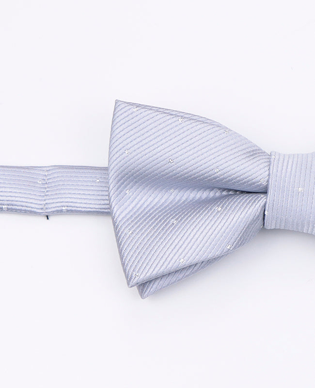 Fliege Grau Nr. 2 Kinder aus Polyester | Georges - Unipap's