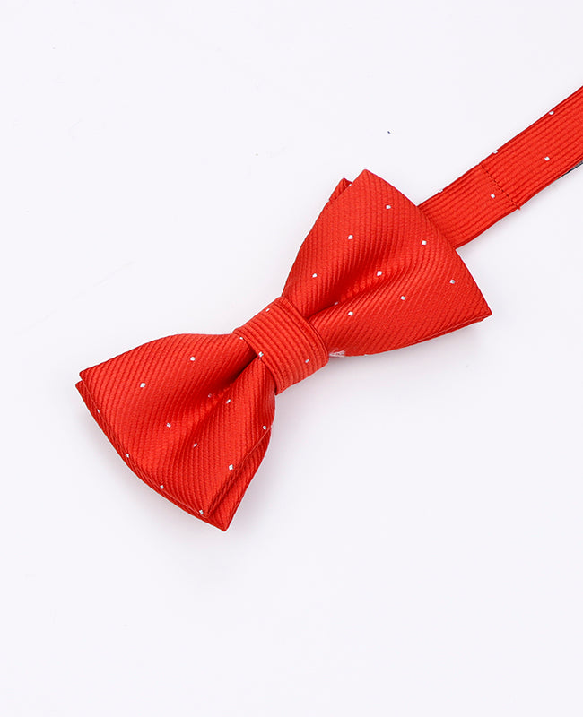 Fliege Rot Nr. 2 mit Punkten Kinder aus Polyester «Georges»