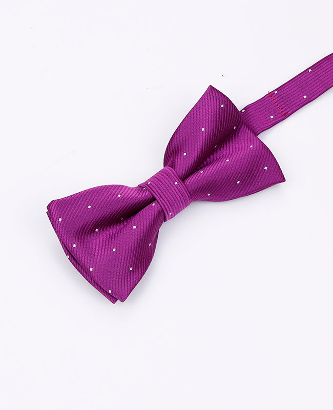 Fliege Violett Kinder Polyester | Georges - Unipap's