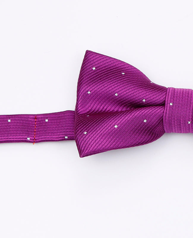 Fliege Violett Kinder Polyester | Georges - Unipap's