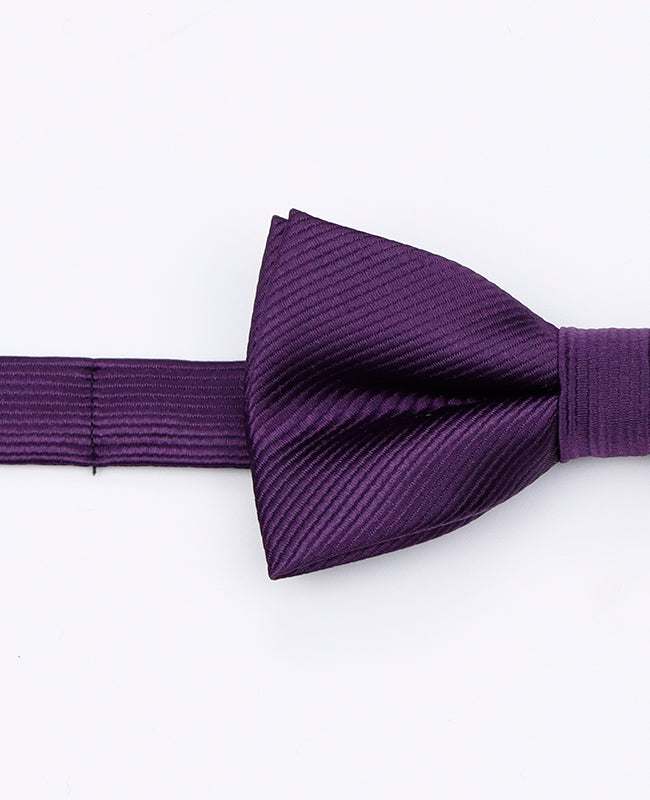 Fliege Violett Nr. 2 Kinder aus Polyester | Lucien - Unipap's