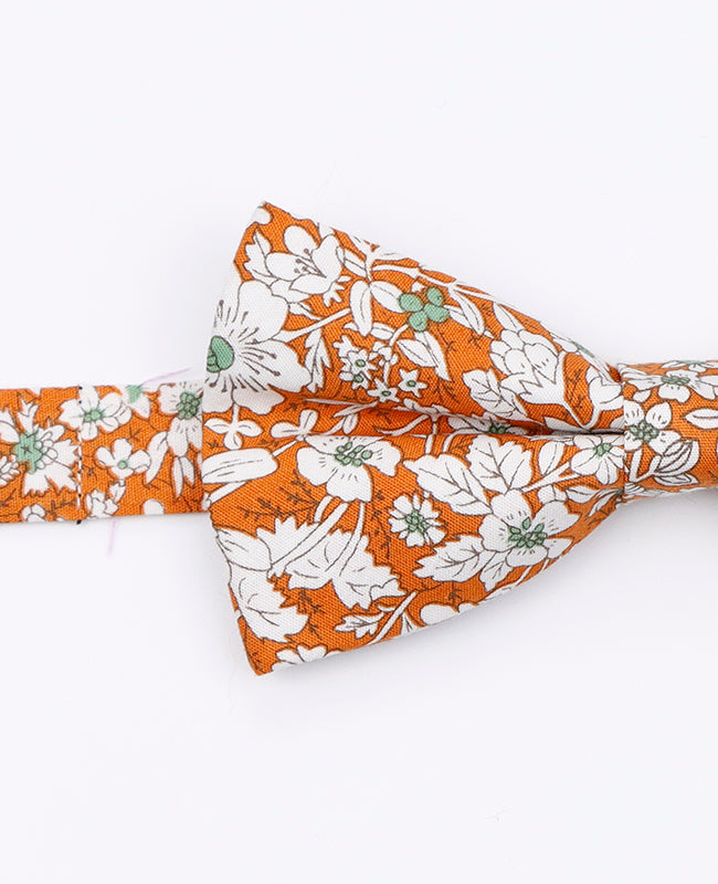 Fliegen Liberty Orange Vater & Sohn aus Baumwolle «Clovis»