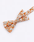 Fliege Liberty Orange Herren Baumwolle „Clovis