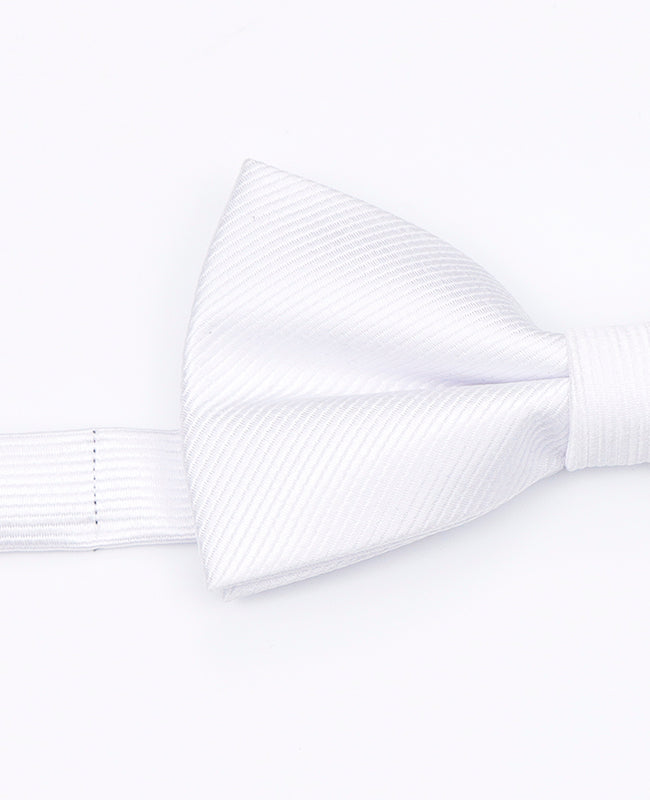 Fliege Weiß Herren Polyester | Lucien - Unipap's