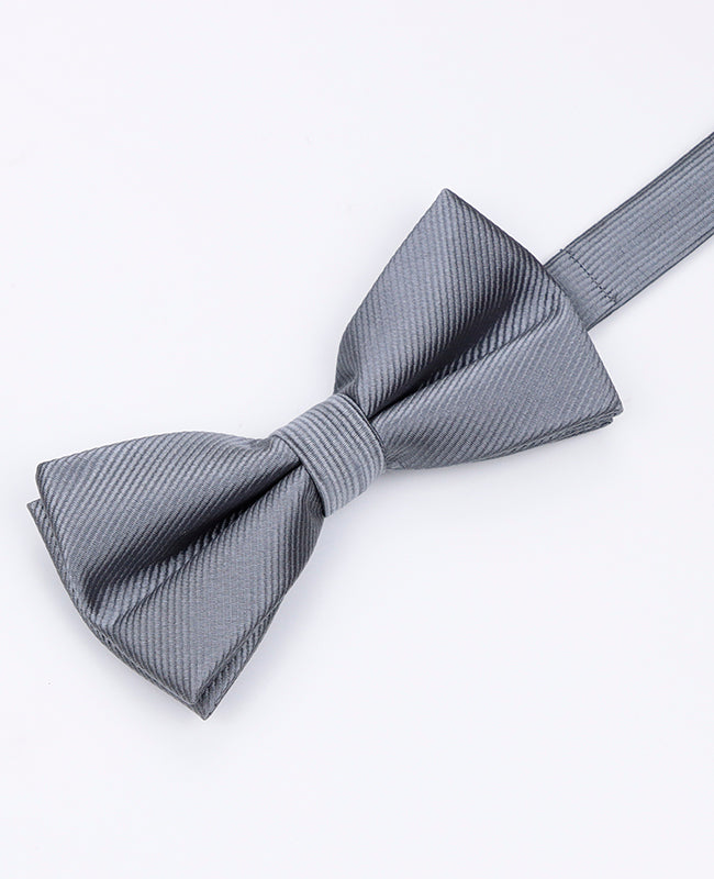 Fliege Grau n°1 Herren aus Polyester | Lucien - Unipap's