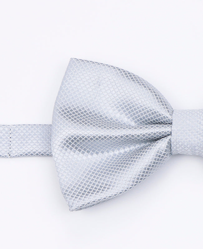 Fliege Grau n°1 Herren Polyester | Martin - Unipap's