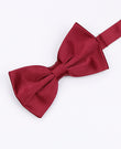 Fliege Rot n°1 Herren Polyester | Anatole - Unipap's