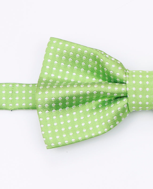 Grüne Fliege mit Punkten für Herren aus Polyester | Louis - Unipap's
