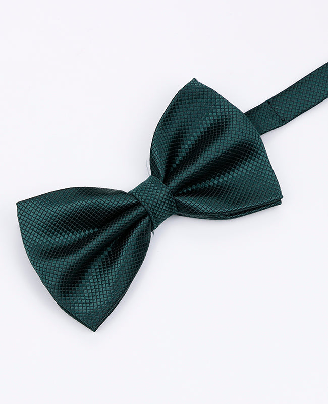 Fliege Grün n°2 Herren Polyester | Martin - Unipap's