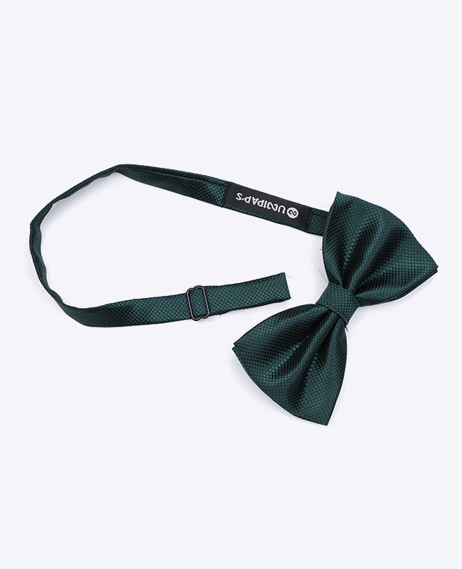 Fliege Grün n°2 Herren Polyester | Martin - Unipap's