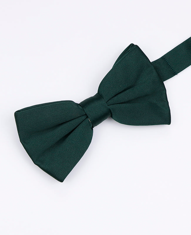 Fliege Grün Nr. 4 Herren Polyester | Anatole - Unipap's