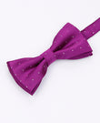 Fliege Violett mit Punkten Herren Polyester | Georges - Unipap's
