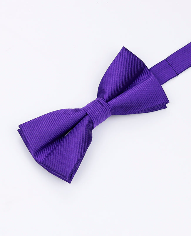 Fliege Violett Nr. 1 Herren aus Polyester | Lucien - Unipap's