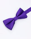 Fliege Violett Nr. 1 Herren aus Polyester | Lucien - Unipap's
