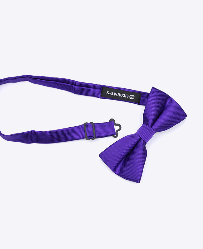 Fliege Violett Nr. 1 Herren aus Polyester | Lucien - Unipap's