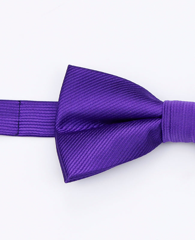 Fliege Violett Nr. 1 Herren aus Polyester | Lucien - Unipap's