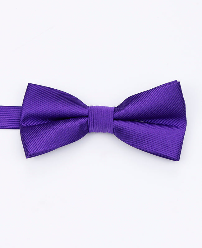 Fliege Violett Nr. 1 Herren aus Polyester | Lucien - Unipap's