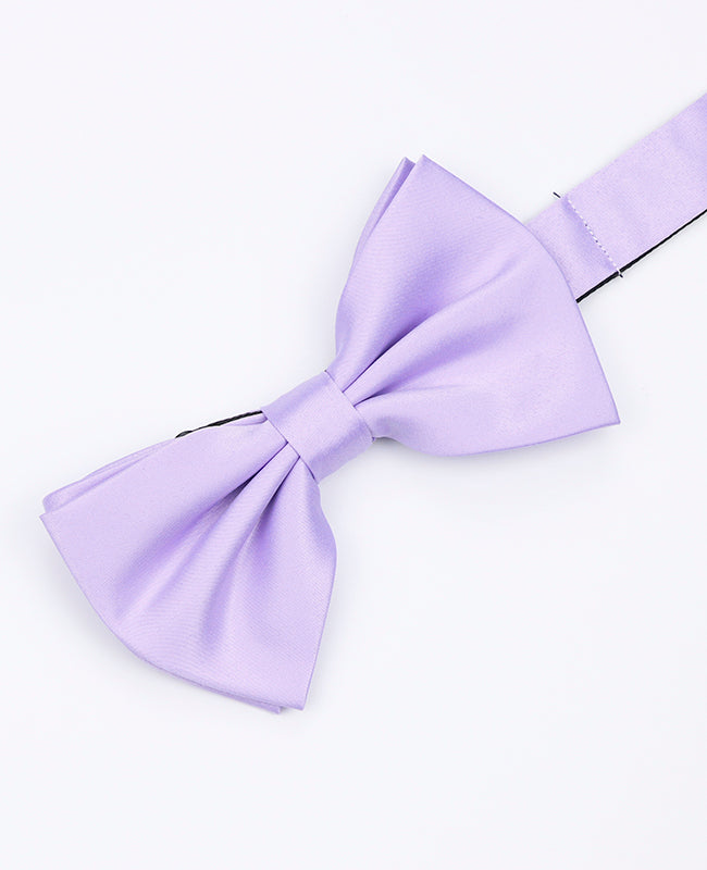 Fliege Violett n°2 Herren Polyester «Anatole»