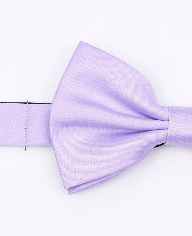 Fliege Violett n°2 Herren Polyester «Anatole»
