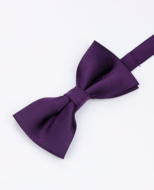 Fliege Violett Nr. 2 Herren aus Polyester | Lucien - Unipap's