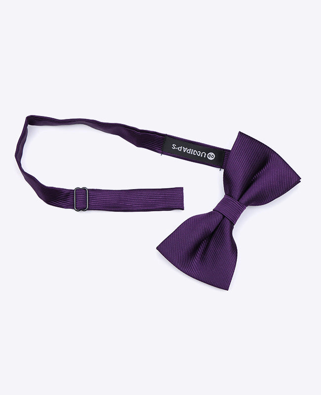 Fliege Violett Nr. 2 Herren aus Polyester | Lucien - Unipap's