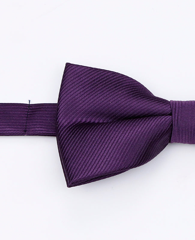 Fliege Violett Nr. 2 Herren aus Polyester | Lucien - Unipap's