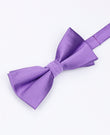 Fliege Violett Nr. 3 Herren Polyester | Lucien - Unipap's