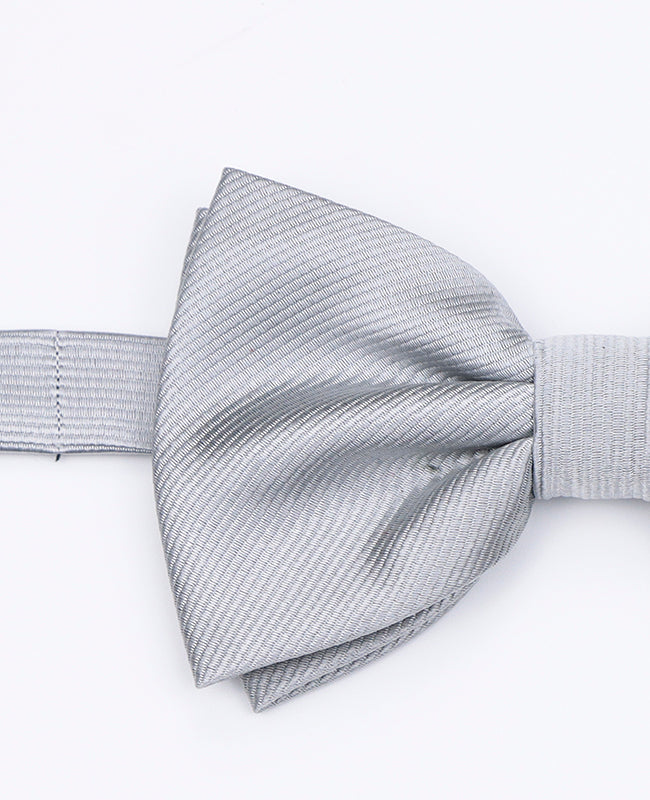 Fliege XL Grau n°2 Herren Polyester | Lucien - Unipap's