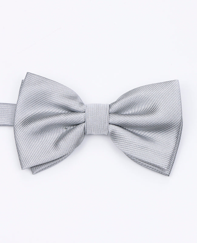 Fliege XL Grau n°2 Herren Polyester | Lucien - Unipap's