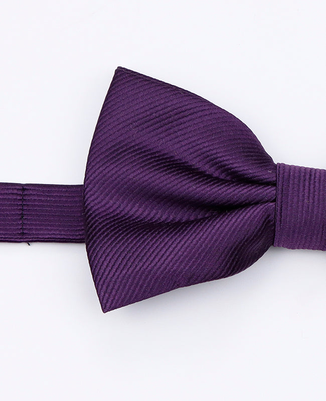 Fliege XL Violett Nr. 2 Herren aus Polyester | Lucien - Unipap's