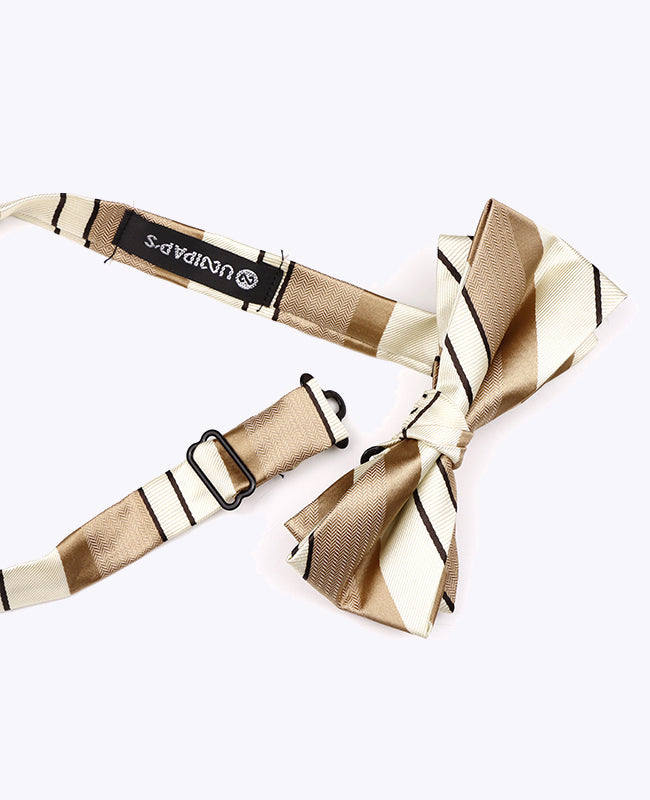 Fliege Beige n°1 gestreift Herren Polyester «Edmond»