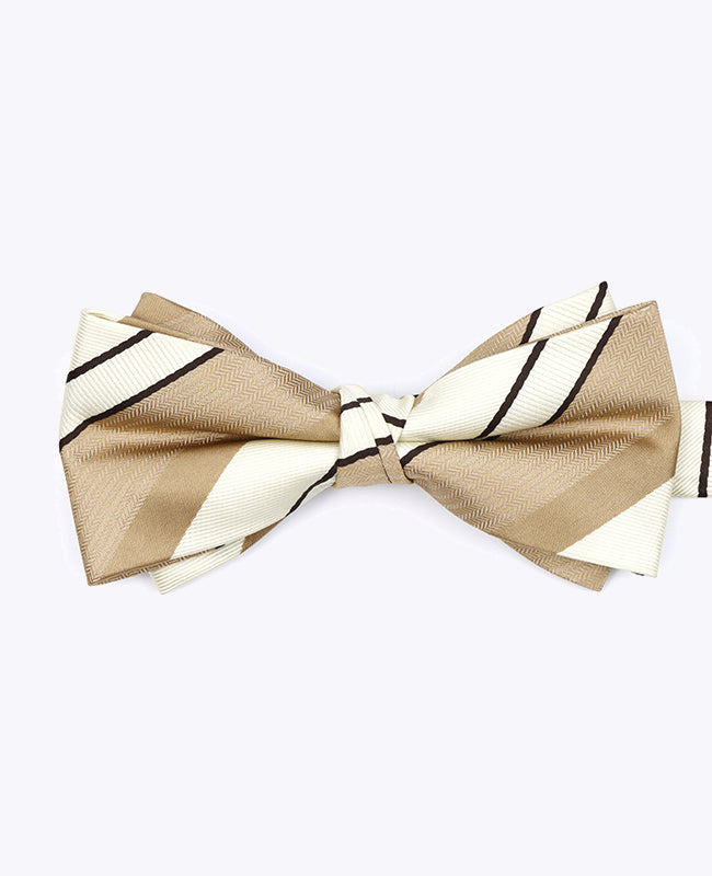 Fliege Beige n°1 gestreift Herren Polyester «Edmond»