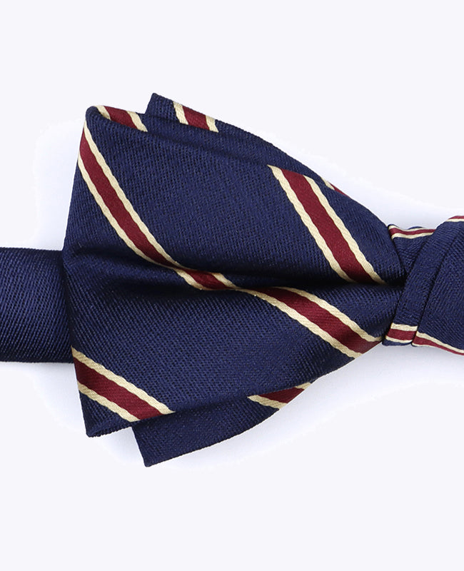 Fliege Blau Herren gestreift aus Polyester «Edmond»