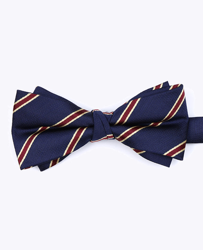 Fliege Blau Herren gestreift aus Polyester «Edmond»