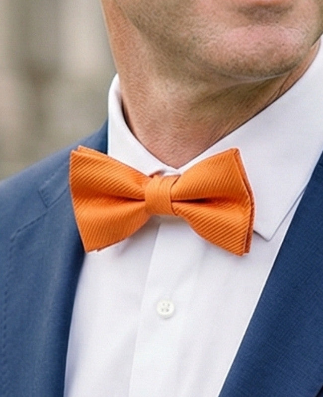 Fliege Orange Herren Polyester «Lucien»