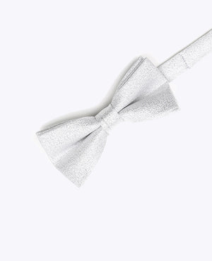 Fliege mit Pailletten Silber n°1 Kinder aus Polyester | Isidore - Unipap's