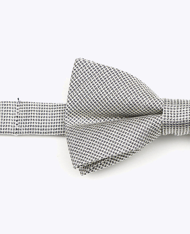 Glitzer-Fliege Silber Nr. 1 Kinder aus Polyester | Léonard - Unipap's