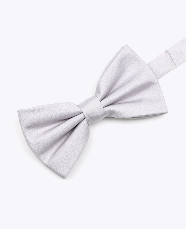 Fliege Silber n°1 Herren Polyester 