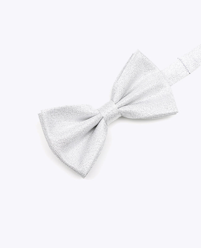 Fliege mit Pailletten Silber n°1 Herren aus Polyester | Isidore - Unipap's