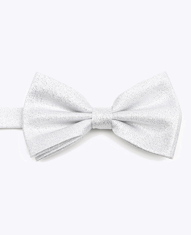 Fliege mit Pailletten Silber n°1 Herren aus Polyester | Isidore - Unipap's