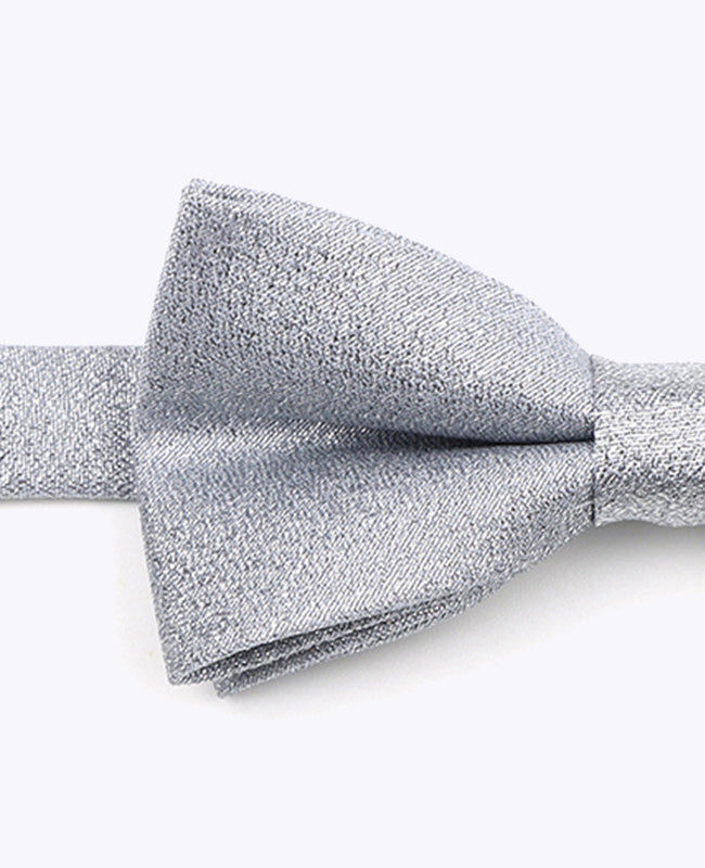 Fliege mit silbernen Pailletten Nr. 2 Kinder aus Polyester | Isidore - Unipap's