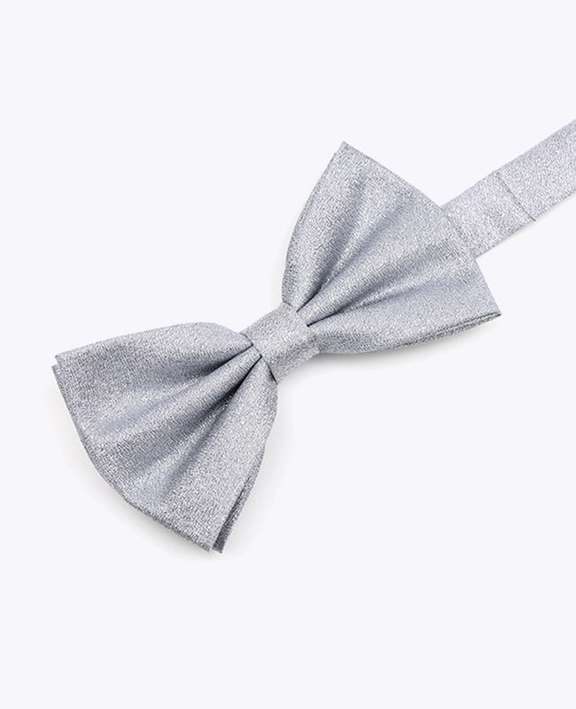 Fliege mit Pailletten Silber n°2 Herren aus Polyester | Isidore - Unipap's