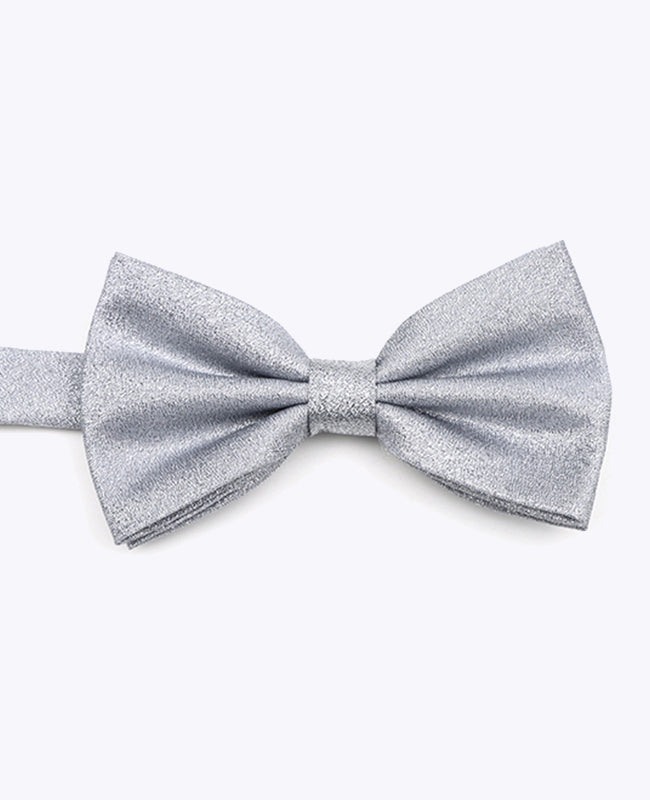 Fliege mit Pailletten Silber n°2 Herren aus Polyester | Isidore - Unipap's