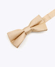 Fliege mit goldenen Pailletten Nr. 1 Kinder aus Polyester | Armand - Unipap's