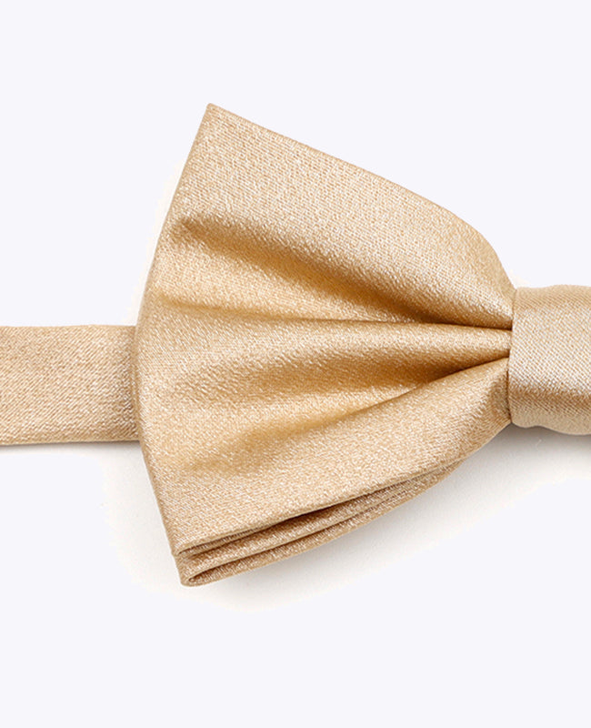 Fliege Gold n°1 Herren Polyester mit Pailletten | Armand - Unipap's