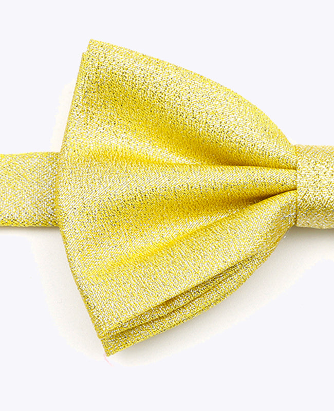 Fliege Gold Glitzer Nr.1 Herren aus Polyester | Isidore - Unipap's