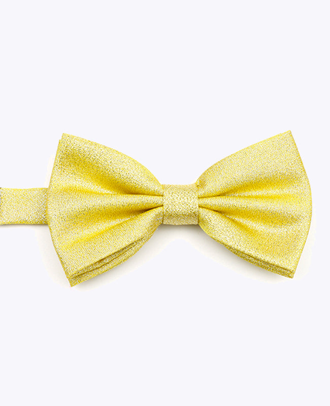 Fliege Gold Glitzer Nr.1 Herren aus Polyester | Isidore - Unipap's