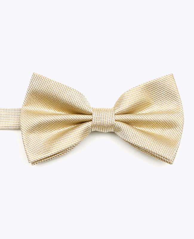 Glitzer-Fliege Gold Nr. 1 Herren Polyester | Léonard - Unipap's