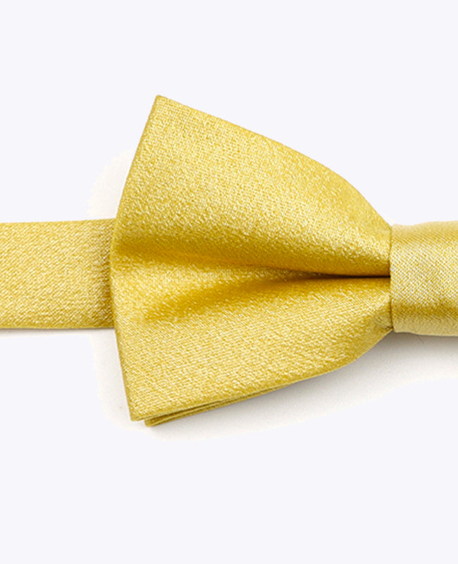 Fliege mit goldenen Pailletten Nr. 2 Kinder aus Polyester | Armand - Unipap's
